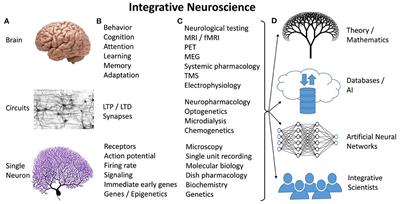 The future of integrative neuroscience: The big questions